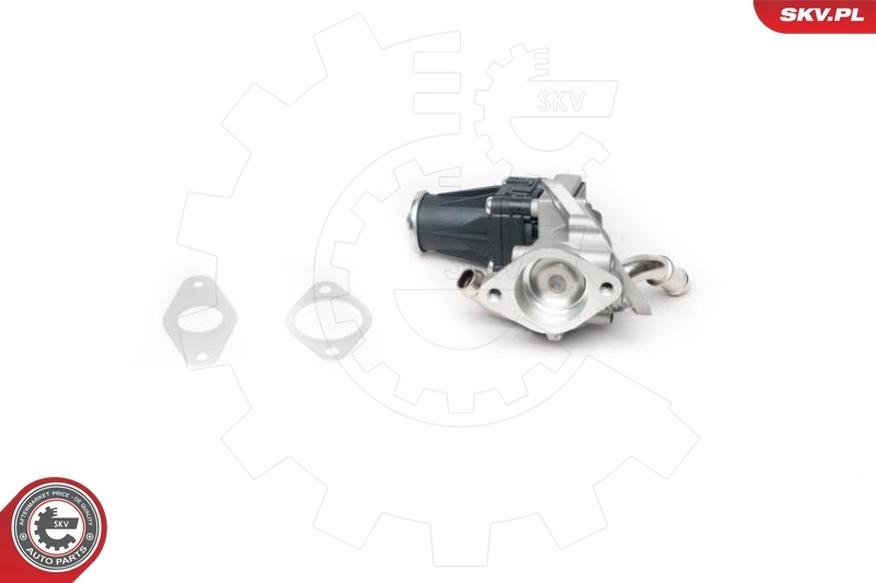 EGR Valve